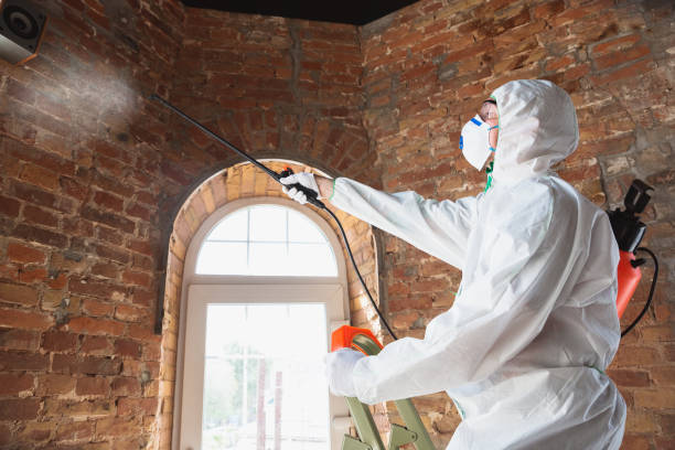 Best Mold Prevention Services  in USA